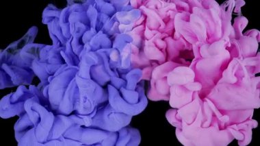 Renkli Bulut Çarpışması. Suyun içinde pembe ve mor mürekkep karışımı. Ağır çekim. Kara Arkaplan. Soyut Hareket Arkaplanı, Sanat Efektleri.