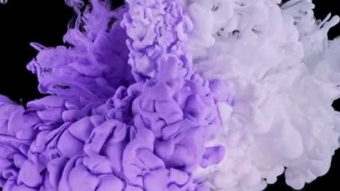 Mor, leylak ve beyaz renkler karışımı. Mürekkep akışı. Parıldayan sıvı hareketi. Akan sıvı boya akışı.