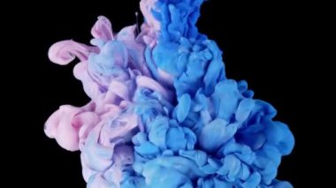 Renklerin sihirli karışımı. Siyah arka planda izole edilmiş suda ipeksi mürekkep bulutu. Suda renkli mürekkep, mürekkep damlası. Mor, mavi, pembe.