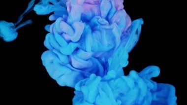 Renklerin sihirli karışımı. Siyah arka planda izole edilmiş suda ipeksi mürekkep bulutu. Suda renkli mürekkep, mürekkep damlası. Mor, mavi, pembe.