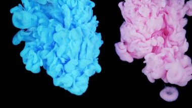 Renklerin sihirli karışımı. Siyah arka planda izole edilmiş suda ipeksi mürekkep bulutu. Suda renkli mürekkep, mürekkep damlası. Mor, mavi, pembe.