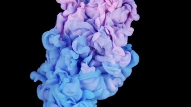 Renklerin sihirli karışımı. Siyah arka planda izole edilmiş suda ipeksi mürekkep bulutu. Suda renkli mürekkep, mürekkep damlası. Mor, mavi, pembe.