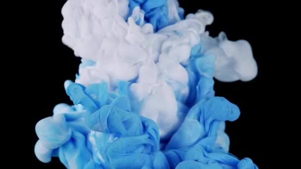 Whispering Tide Fluid Art Journey Van Blauwe Witte Kleur Verf — Stockvideo