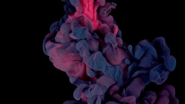 Ethereal Tusz Dance Czerwone Niebieskie Krople Farby Tworzące Kolorowe Chmury — Wideo stockowe