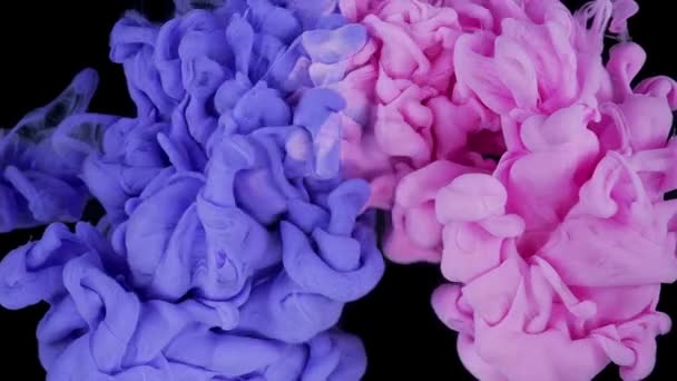 Color Cloud Collision Rosa Und Lila Tinte Mischen Sich Wasser — Stockvideo