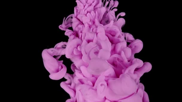 迷人的水舞 粉红颜料滴滴在慢动作中创造出美丽柔和的色彩 — 图库视频影像