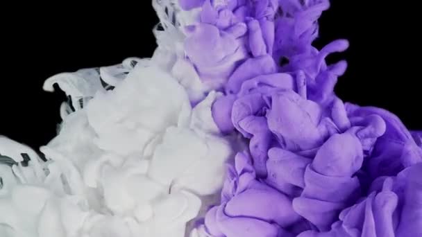 Mor Leylak Beyaz Renkler Karışımı Mürekkep Akışı Parıldayan Sıvı Hareketi — Stok video