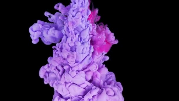 カラークラウド衝突 水にピンクと紫のインクの混合物 スローモーション 黒の背景 要約モーション背景 アート効果 — ストック動画