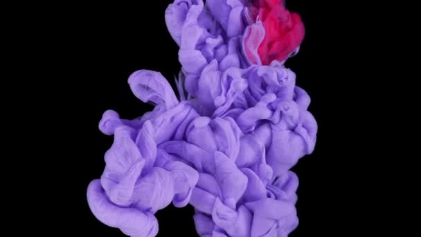 예술성 풍부하다 Black Violet Liquid Texture Shiny Artwork Slow Motion — 비디오