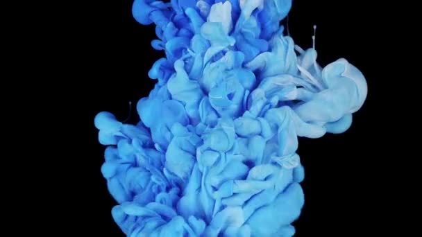 Weiße Und Blaue Abstrakte Tinte Wasser Gemischt — Stockvideo