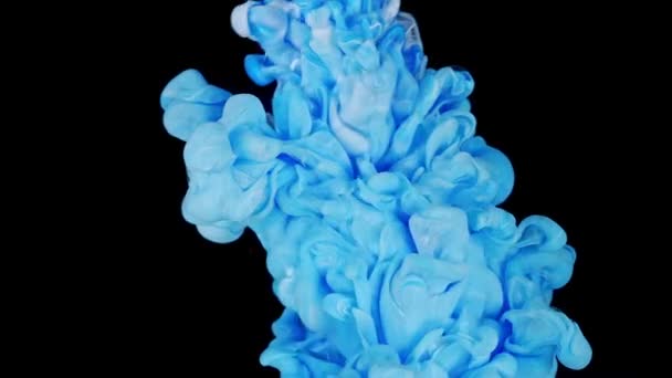 Akışkan Sanat Mürekkebi Mavi Beyaz Renk Boya Damlalarının Soyut Renkleri — Stok video