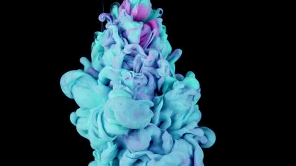 Uyumlu Sıvı Hareketi Suda Serene Güzeli Yaratan Turkuaz Pembe Renkler — Stok video