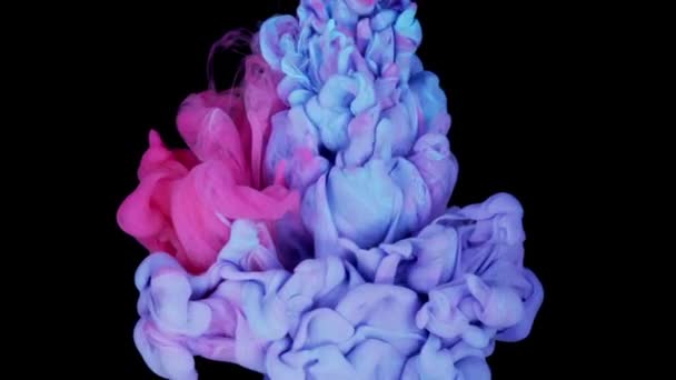 Sıvı Sanat Mistiği Siyah Menekşe Sıvı Doku Parlak Sanatsal Çalışmalar — Stok video