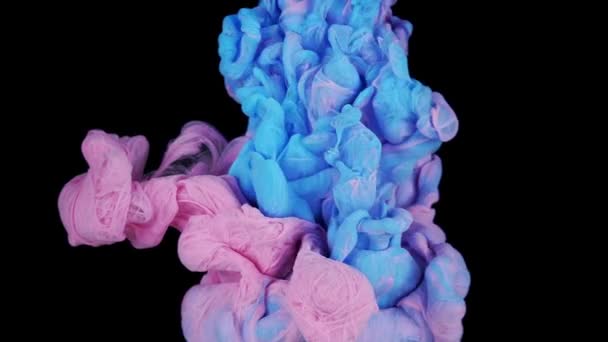 Encre Rose Bleue Paillettes Répandant Dans Eau Contexte Abstrait — Video