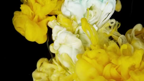 Gelbe Und Weiße Farbmischung Auf Einer Mango Und Milch Inspiriert — Stockvideo