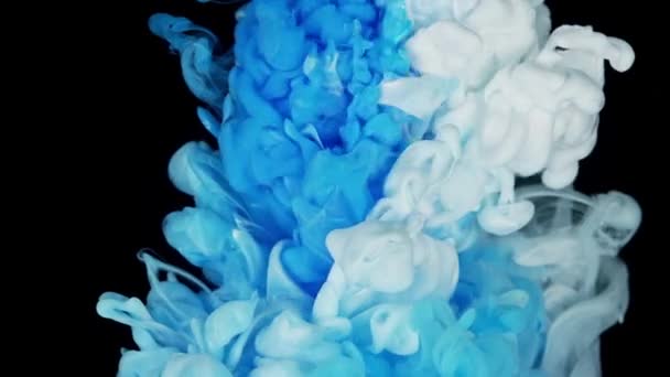 魔法のパールカスケード 抽象的な色のミックスの流体芸術インク 青と白の色水の滴 液体インクのスローモーション孤立 — ストック動画