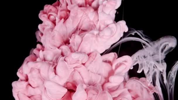 Viskande Nyanser Slow Motion Rosa Färg Droppar Vatten — Stockvideo