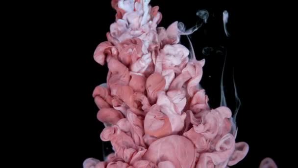 动态流体动力交响乐 粉色颜料滴在水中起舞 用现代柔和色彩慢动作 — 图库视频影像