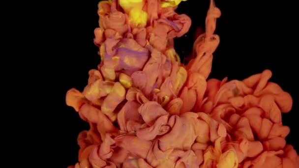 Dança Dinâmica Pigmento Tintas Amarelas Vermelhas Que Salpicam Misturam Água — Vídeo de Stock