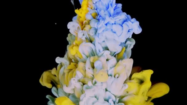 異なる色のアクリル絵具は黒の背景に水に溶解し 美しい抽象的な背景 — ストック動画