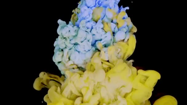 異なる色のアクリル絵具は 黒の背景に水に溶解し 青の美しい抽象的な背景 スローモーション — ストック動画