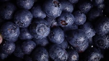Vegan Gıda Lezzeti: Dolgun ve Lezzetli Yabanmersinlerine Daha Yakın Bakış.