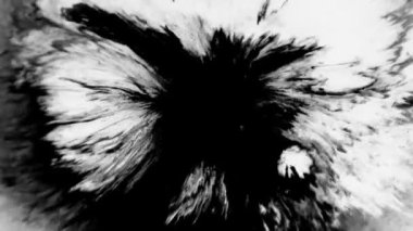 Mürekkep izleri, lekeler, 4K görüntüler. Sudaki mürekkep, beyaz zemin üzerine güzel siyah suluboya mürekkep damlaları - mürekkep etkisi, şeffaf, geçiş, oda, izole edilmiş, dairesel organik akışla genişletilmiş