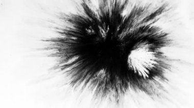 Mürekkep izleri, lekeler, 4K görüntüler. Sudaki mürekkep, beyaz zemin üzerine güzel siyah suluboya mürekkep damlaları - mürekkep etkisi, şeffaf, geçiş, oda, izole edilmiş, dairesel organik akışla genişletilmiş