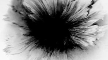 Mürekkep izleri, lekeler, 4K görüntüler. Sudaki mürekkep, beyaz zemin üzerine güzel siyah suluboya mürekkep damlaları - mürekkep etkisi, şeffaf, geçiş, oda, izole edilmiş, dairesel organik akışla genişletilmiş