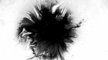 Mürekkep izleri, lekeler, 4K görüntüler. Sudaki mürekkep, beyaz zemin üzerine güzel siyah suluboya mürekkep damlaları - mürekkep etkisi, şeffaf, geçiş, oda, izole edilmiş, dairesel organik akışla genişletilmiş