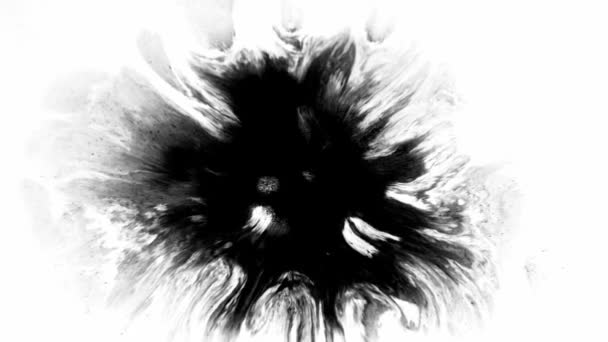 Ink Runs Blots Касети Чорний Акварель Воді Чудовий Чорний Акварель — стокове відео