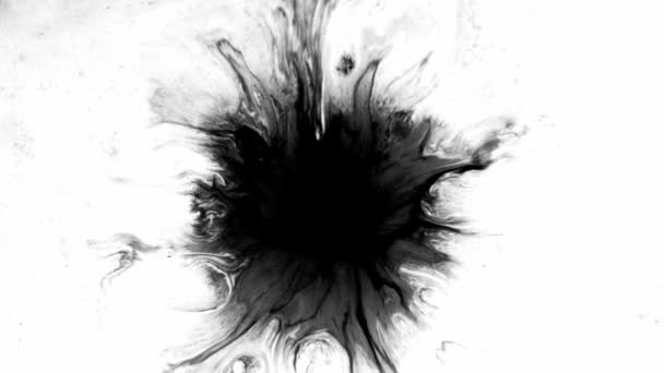 Ink Runs Blots Footage Ink Water Beautiful Black Watercolor Ink — Stock Video