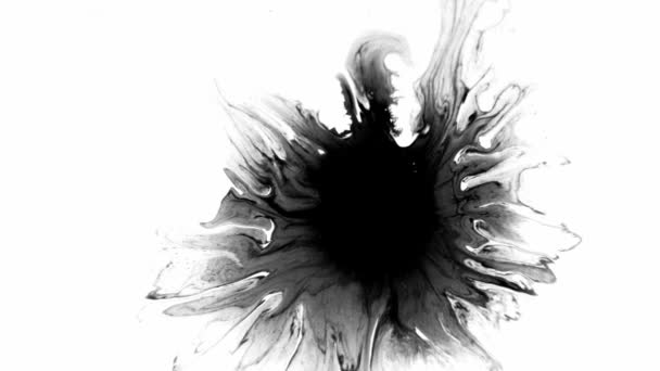 Tintafuttatások Blots Felvételek Tinta Vízben Gyönyörű Fekete Akvarell Tinta Csepp — Stock videók