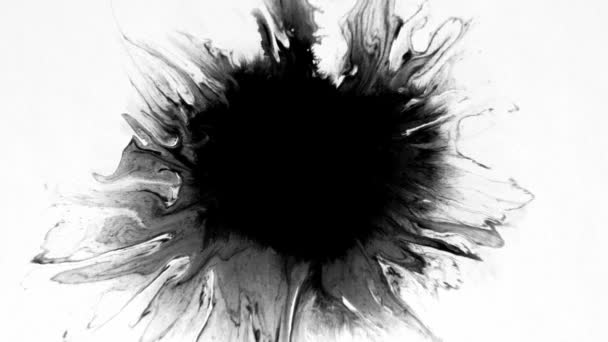 Tintafuttatások Blots Felvételek Tinta Vízben Gyönyörű Fekete Akvarell Tinta Csepp — Stock videók