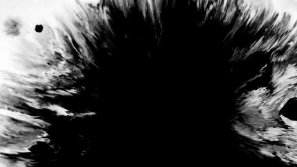 Ink Runs Blots Касети Чорний Акварель Воді Чудовий Чорний Акварель — стокове відео