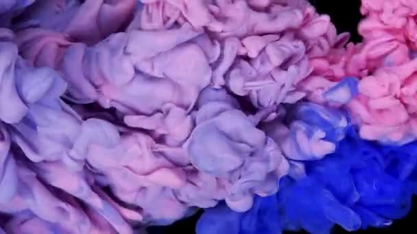 Růžová Modrá Kolize Mračny Míchání Barev Vodě Pomalý Pohyb Černé — Stock video
