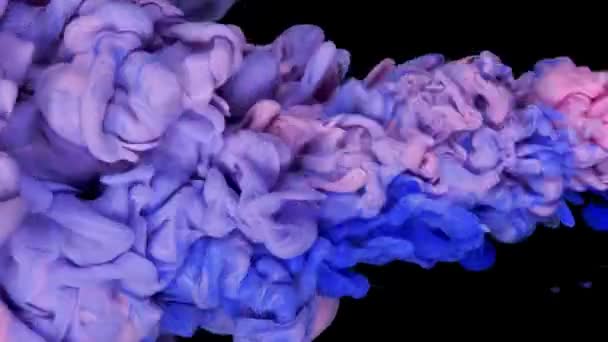 Collision Nuage Encre Rose Bleue Mélange Peinture Dans Eau Ralenti — Video
