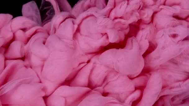 Мрійливе Злиття Чорнила Повільний Рух Рожевої Фарби Краплі Створення Красивих — стокове відео