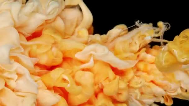 Kolor Biały Pomarańczowy Krople Farby Białym Tle Wody Abstrakcyjna Mieszanka — Wideo stockowe