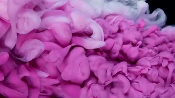 Dreamy Ink Fusion Zeitlupe Pinkfarbener Farbtropfen Schafft Schöne Weiche Farben — Stockvideo