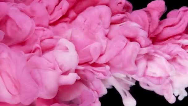 Dreamy Ink Fusion Lassú Mozgás Rózsaszín Festék Cseppek Létrehozása Gyönyörű — Stock videók