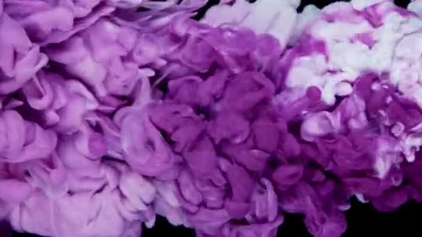 Μπλε Ροζ Γκλίτερ Μελάνι Απλώνεται Στο Νερό Αφηρημένο Φόντο — Αρχείο Βίντεο