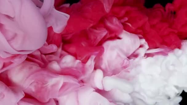 水花中的粉色和白色丙烯酸涂料在白色的背景 美丽的背景 柔和的色彩中溶解 — 图库视频影像