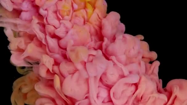 彩色烟雾 墨水水飞溅 丙烯酸颜料混合物 明亮的黄色粉红云雾运动抽象艺术背景的过渡 — 图库视频影像
