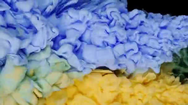 Magisk Blandning Färg Moln Silkeslen Bläck Vatten Isolerad Svart Bakgrund — Stockvideo