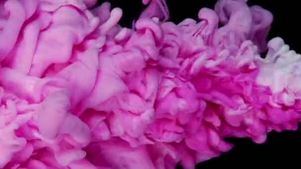 梦幻般的墨水熔融 粉色涂料滴滴缓慢运动 创造出美丽柔和的色彩 — 图库视频影像
