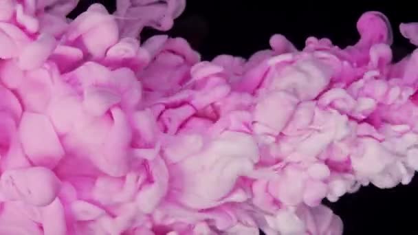 梦幻般的墨水熔融 粉色涂料滴滴缓慢运动 创造出美丽柔和的色彩 — 图库视频影像