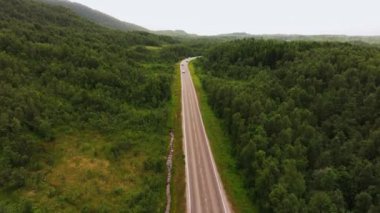 Yeşil orman vadisinde ağaçlar ve yağmurlu sis ile kavisli dağ yolunda ilerleyen tek araçlı hava aracı.