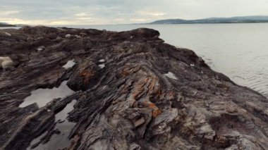 Bulutlu soğuk havada kara volkanik kayalık kıyıların havadan görünüşü. Vahşi doğayı keşfetmek, İzlanda ya da Norveç 'i gezmek