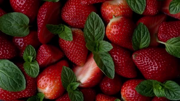 成熟草莓和新鲜薄荷叶的一半放在白色的背景上 — 图库视频影像